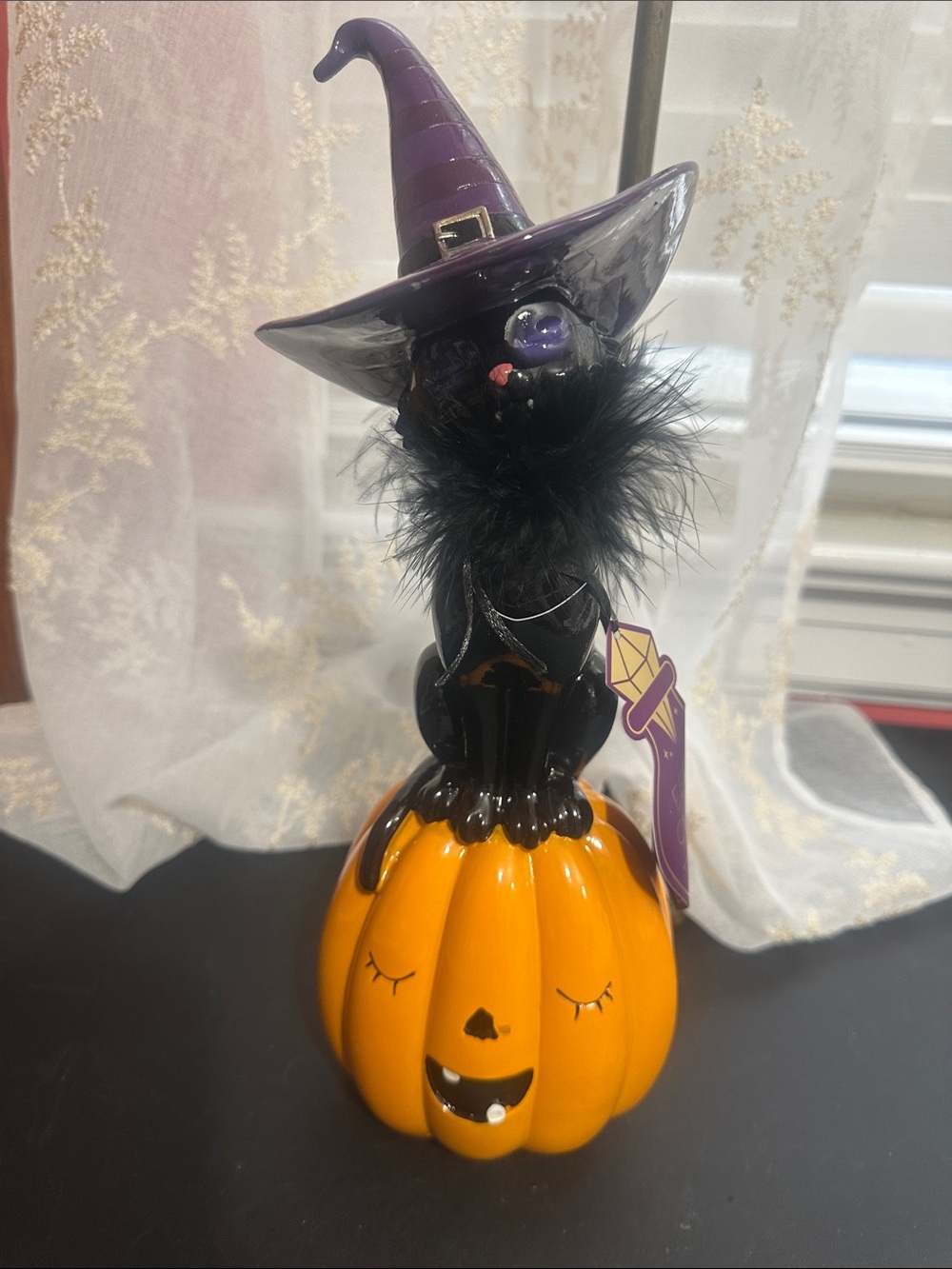 Eerie charm black cat on pumpkin decor